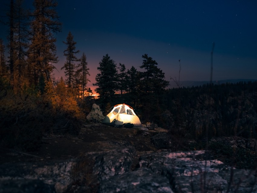 tent, starry sky, night, camping, trees