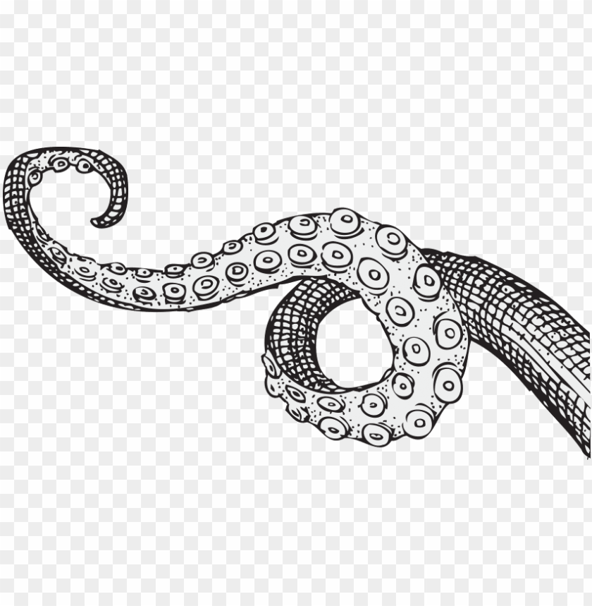 tentacles, draw, tentacle, sketch, animal, pencil, drawing