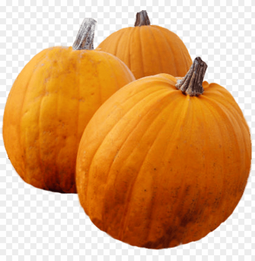 thanksgiving pumpkin, thanksgiving border, thanksgiving banner, thanksgiving, happy thanksgiving, thanksgiving dinner