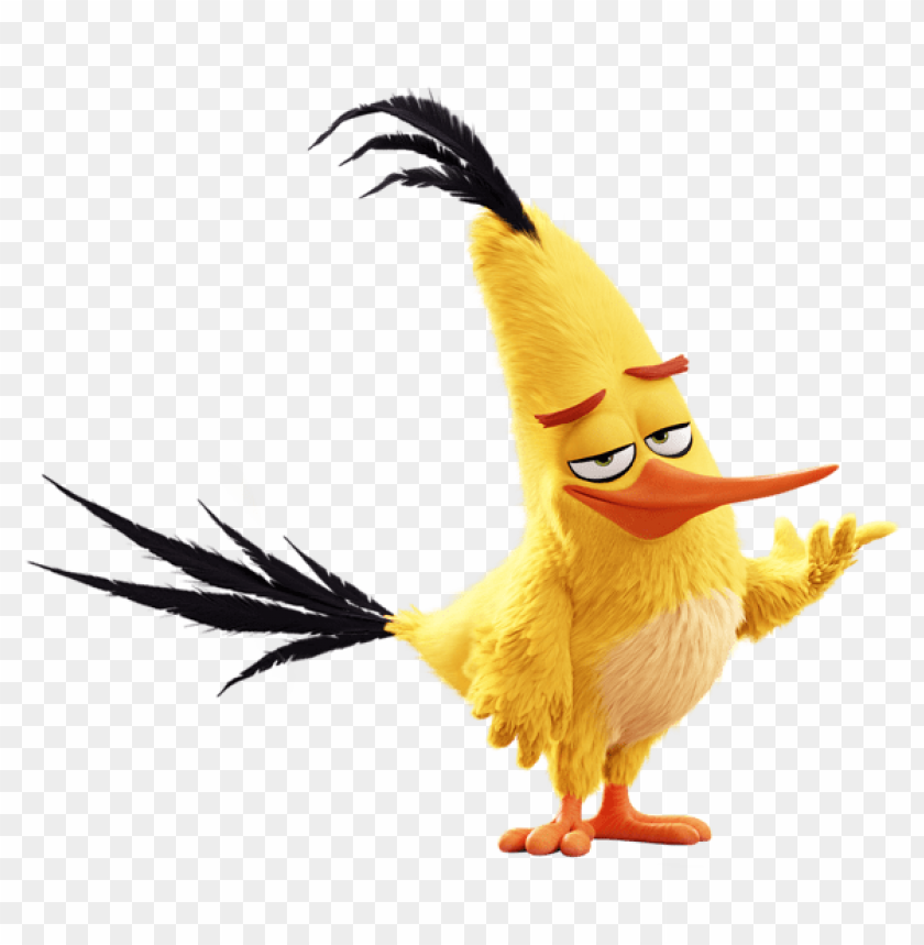 free PNG Download the angry birds movie chuck clipart png photo   PNG images transparent