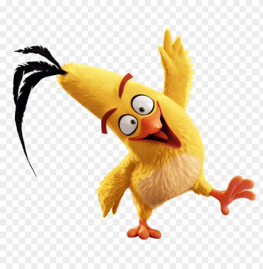 the angry birds movie chuck clipart png photo - 46600