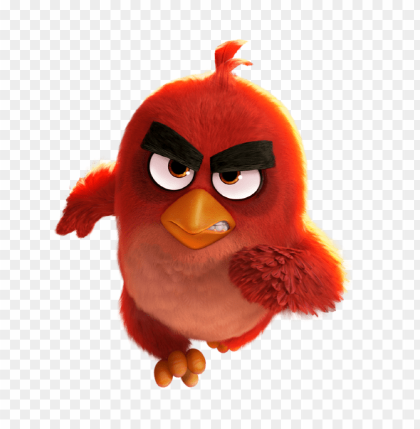 Download the angry birds movie red clipart png photo  @toppng.com
