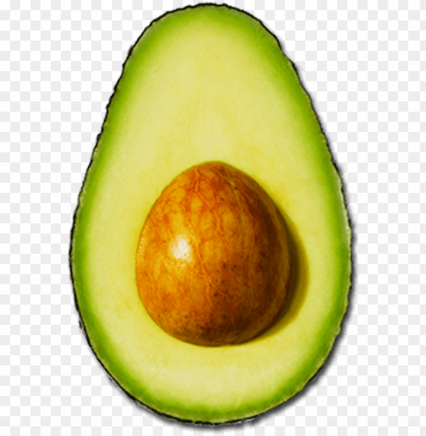 the avocado aguacate PNG transparent with Clear Background ID 199305