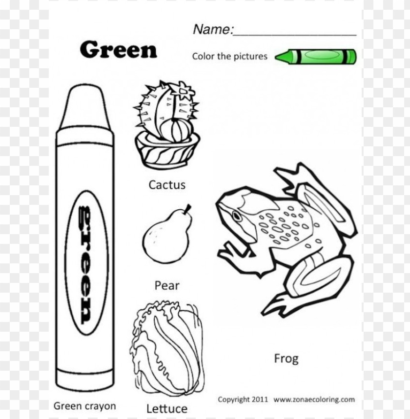 Free Download HD PNG The Color Green Coloring Pages PNG Image With