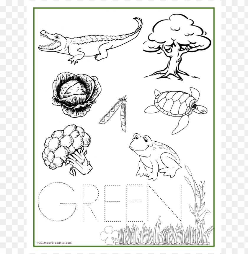 the color green coloring pages, coloringpages,coloringpage,pages,page,thecolor,color