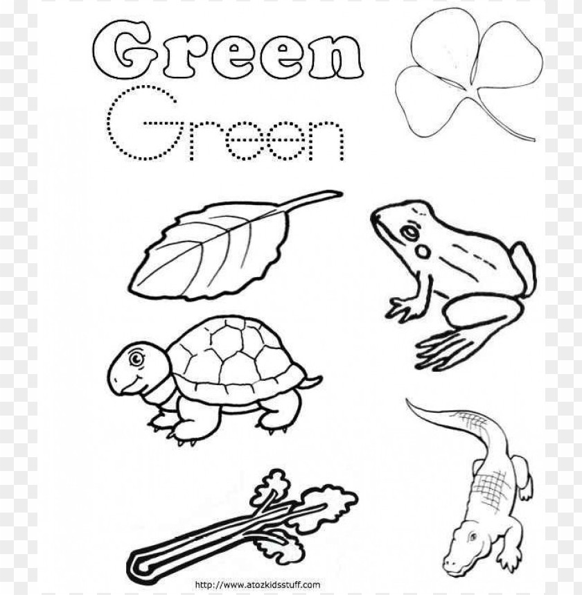 The Color Green Coloring Pages Png Image With Transparent Background Toppng