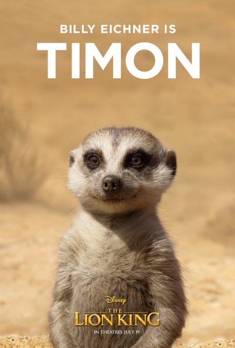 the lion king 2019 poster with timon background best stock photos - Image ID 322857