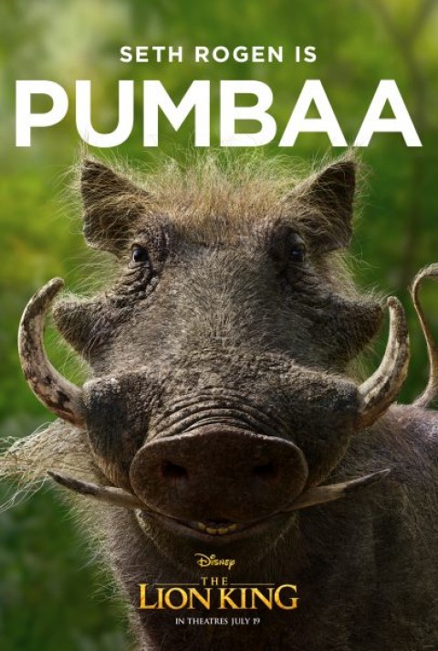 the lion king,2019 poster,pumbaa