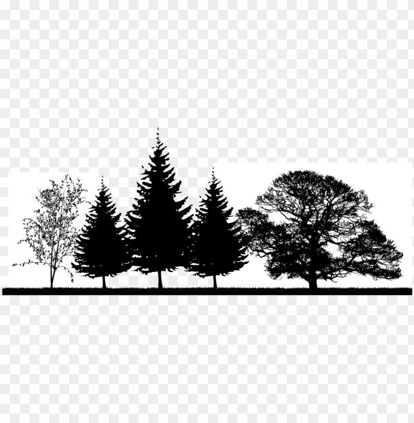 free PNG the right tree, in the right place, can help provide - oak tree silhouette PNG image with transparent background PNG images transparent