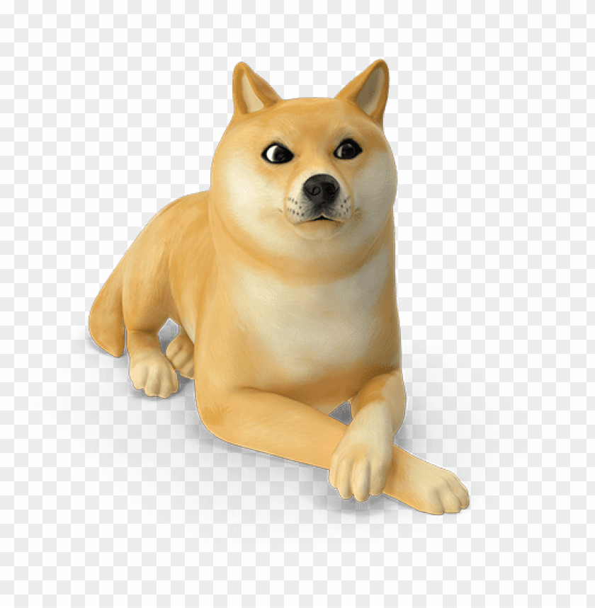 The World Through Animal - Shiba Inu PNG Transparent With Clear Background ID 398708