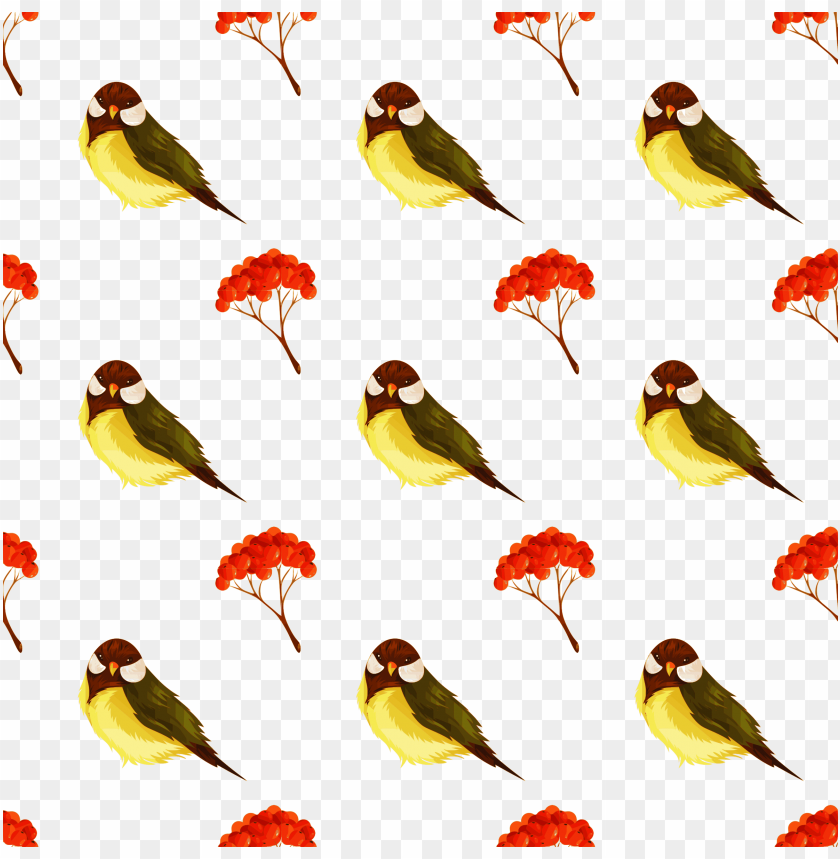 graphic design, corner design, instagram icons, tribal design, phoenix bird, twitter bird logo