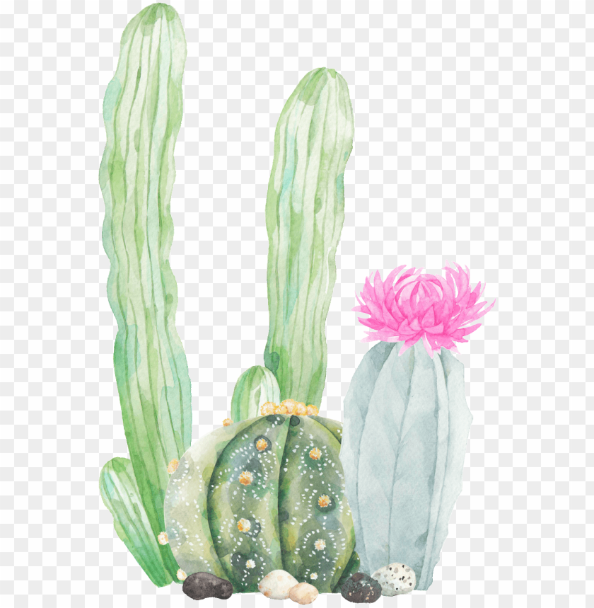 Cartoon Cactus PNG Images, Cartoon Clipart, Hand Painted, Cactus PNG  Transparent Background - Pngtree