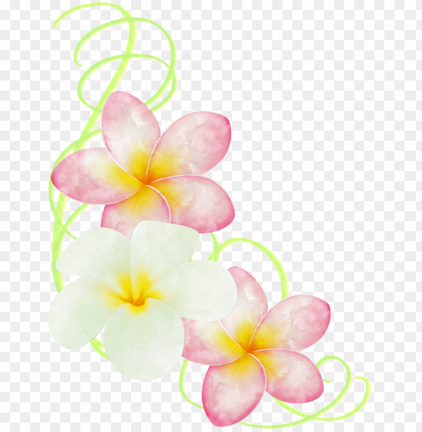 free PNG this graphics is hand painted two colors of egg flower - portable network graphics PNG image with transparent background PNG images transparent