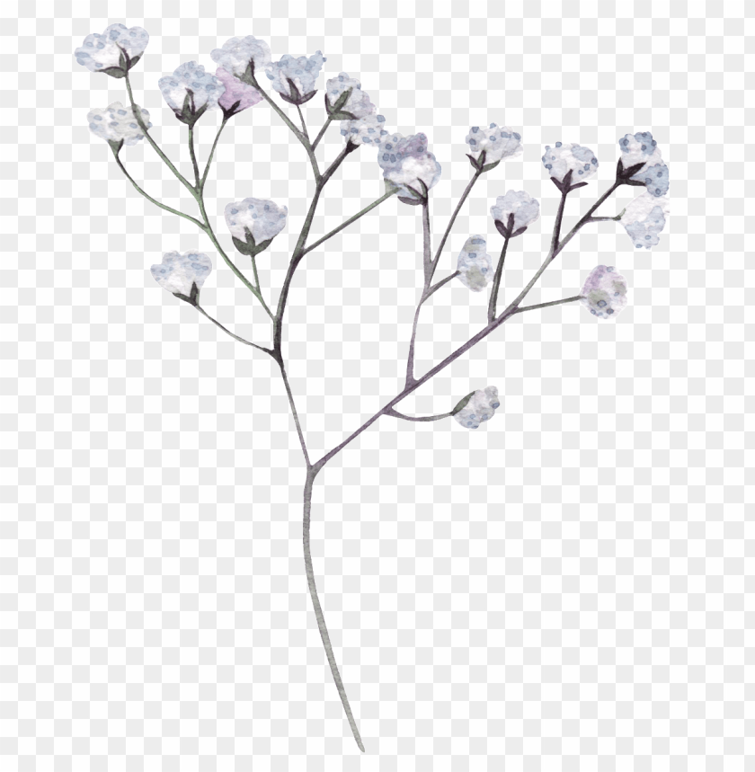 This Graphics Is Hand Painted White Dry Flower Transparent - Png Transparent Black Flower PNG Transparent With Clear Background ID 163946
