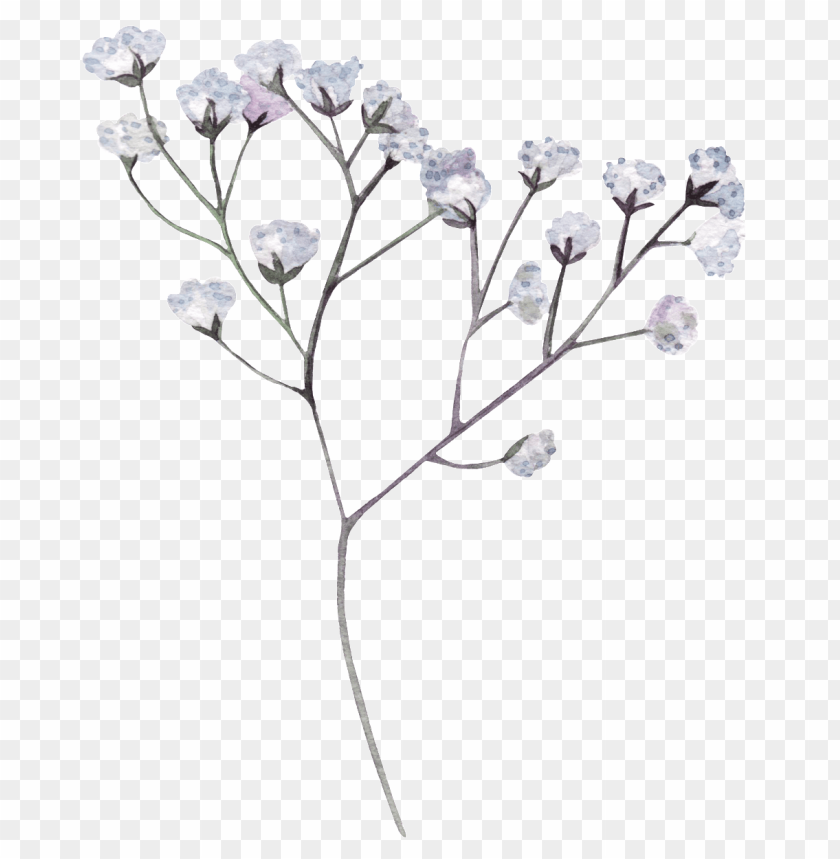 This Graphics Is Hand Painted White Dry Flower - Black Flower PNG Transparent Background