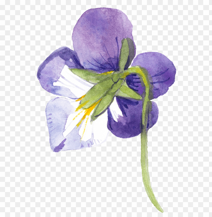 free PNG this graphics is purple hand painted small flower watercolor - watercolor painti PNG image with transparent background PNG images transparent