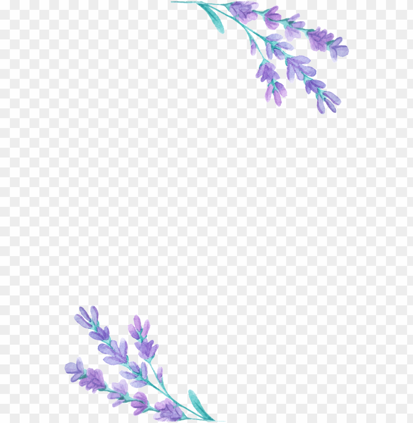 Lavender Background png download - 801*976 - Free Transparent Bonzibuddy  png Download. - CleanPNG / KissPNG