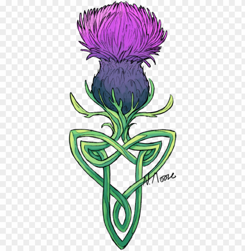 this is a tattoo design for my aunt who asked for a - scottish thistle  tattoo desi PNG image with transparent background | TOPpng