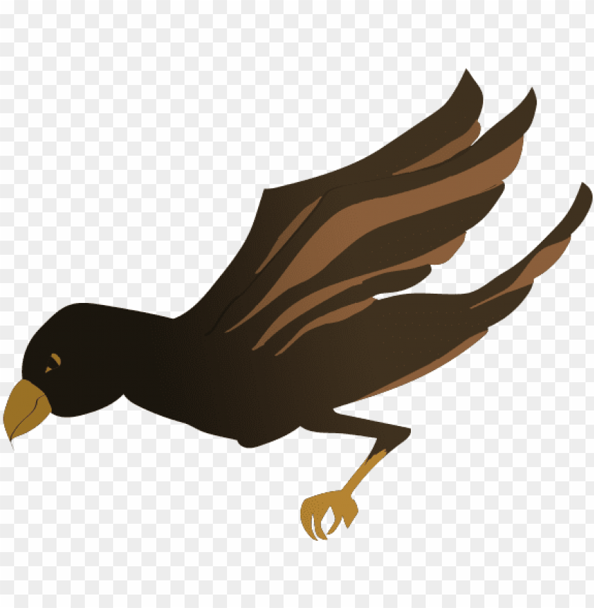 this is the falcon - kite, kite