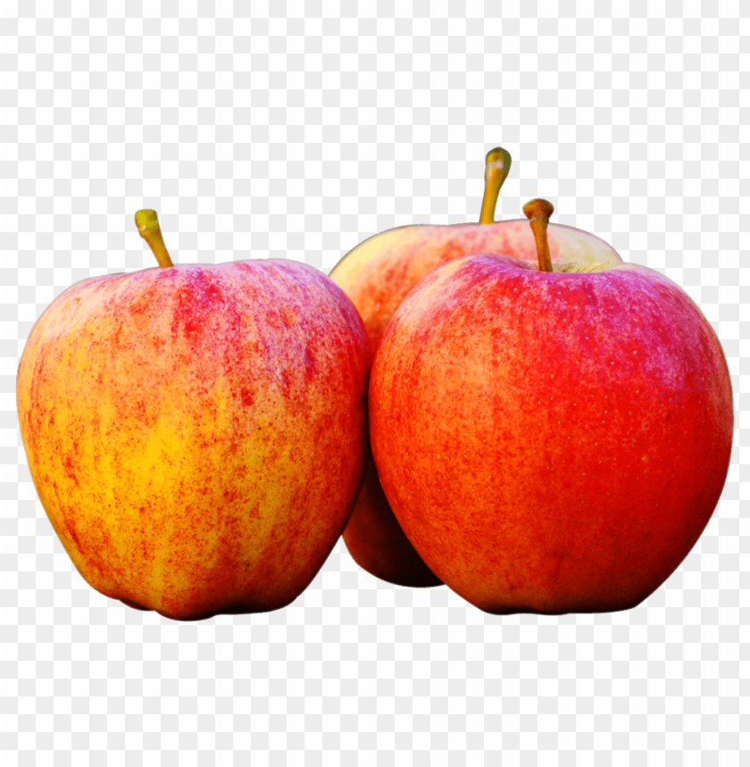 apple, fruits, apples, three
