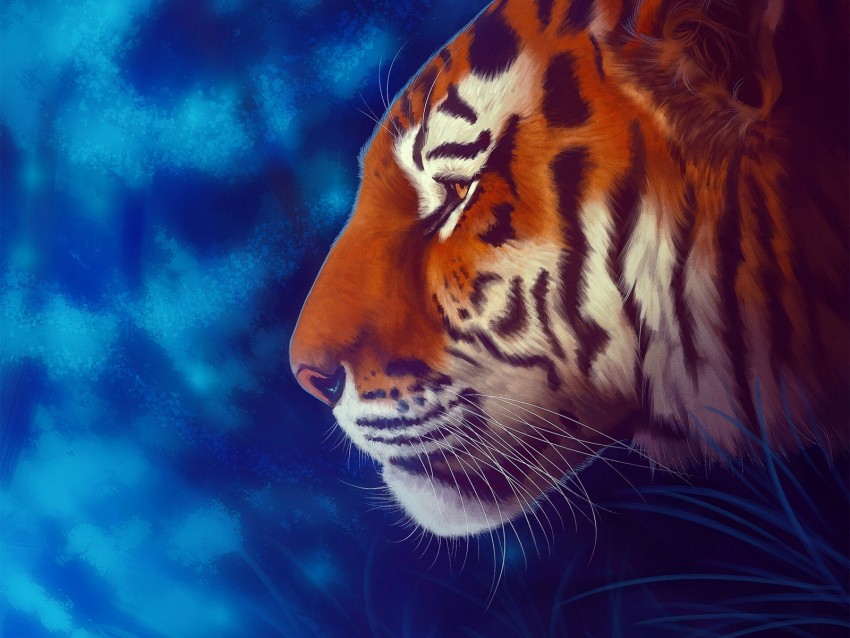 tiger, predator, big cat, art