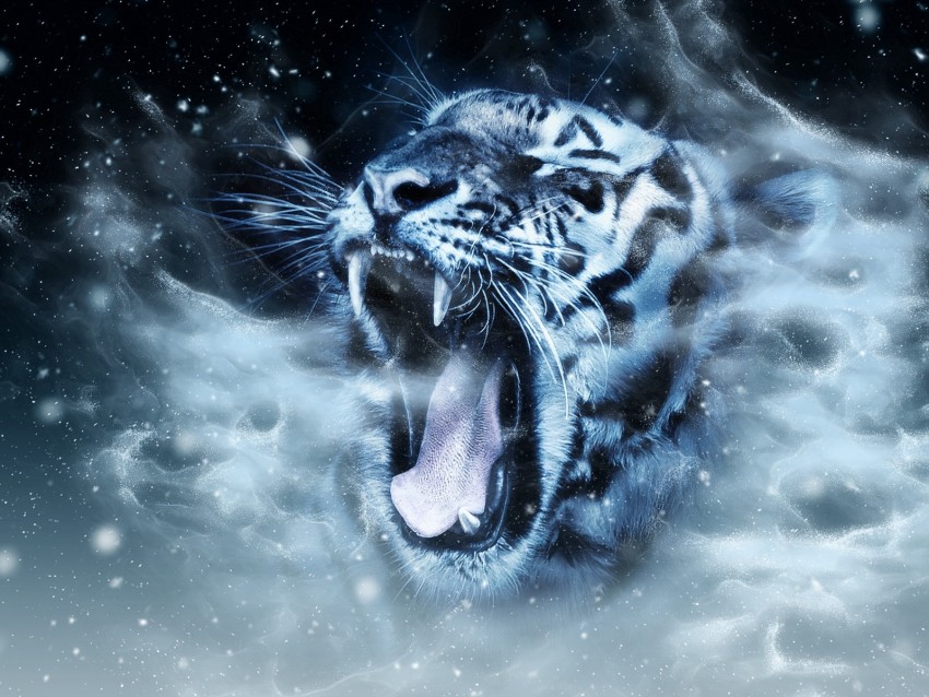 tiger, predator, grin, muzzle, photoshop