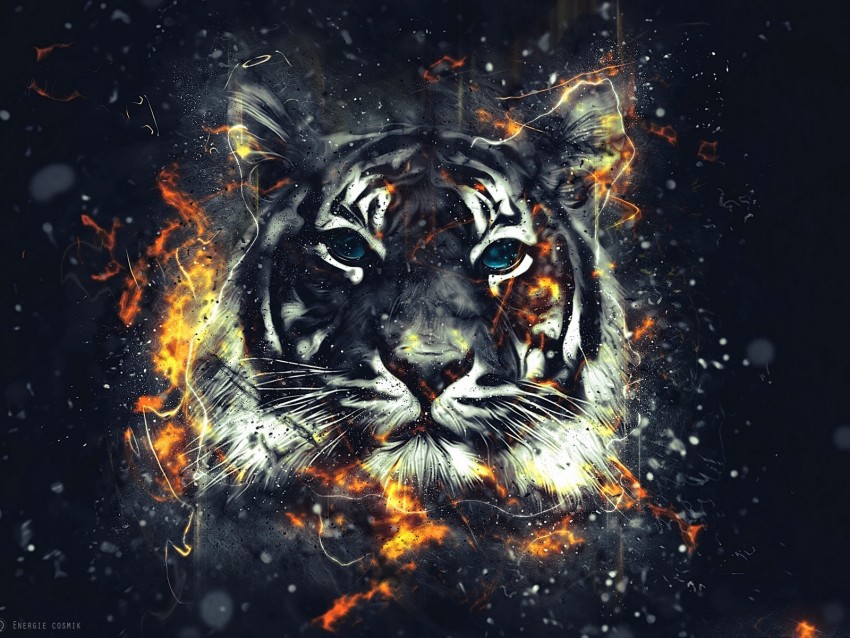 tiger, sparks, art, flash