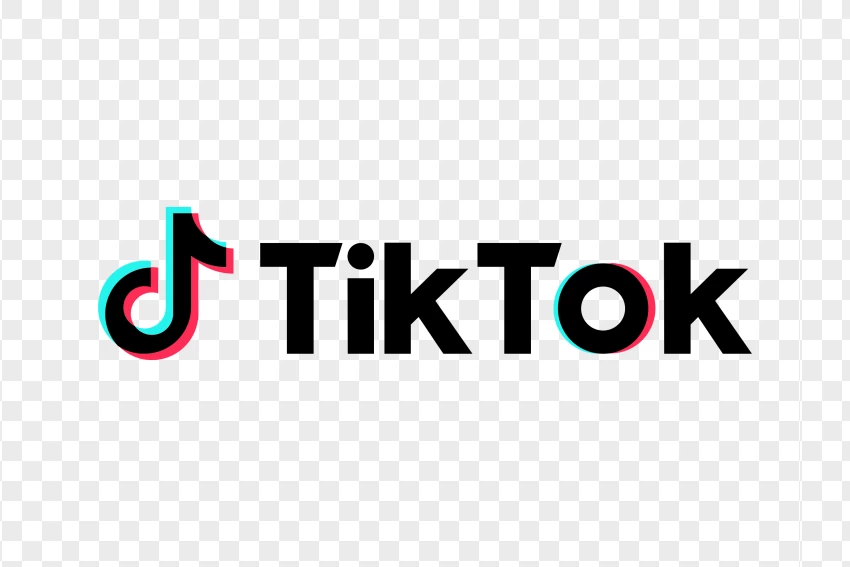 Tiktok Logo With Icon And Text PNG Transparent Background