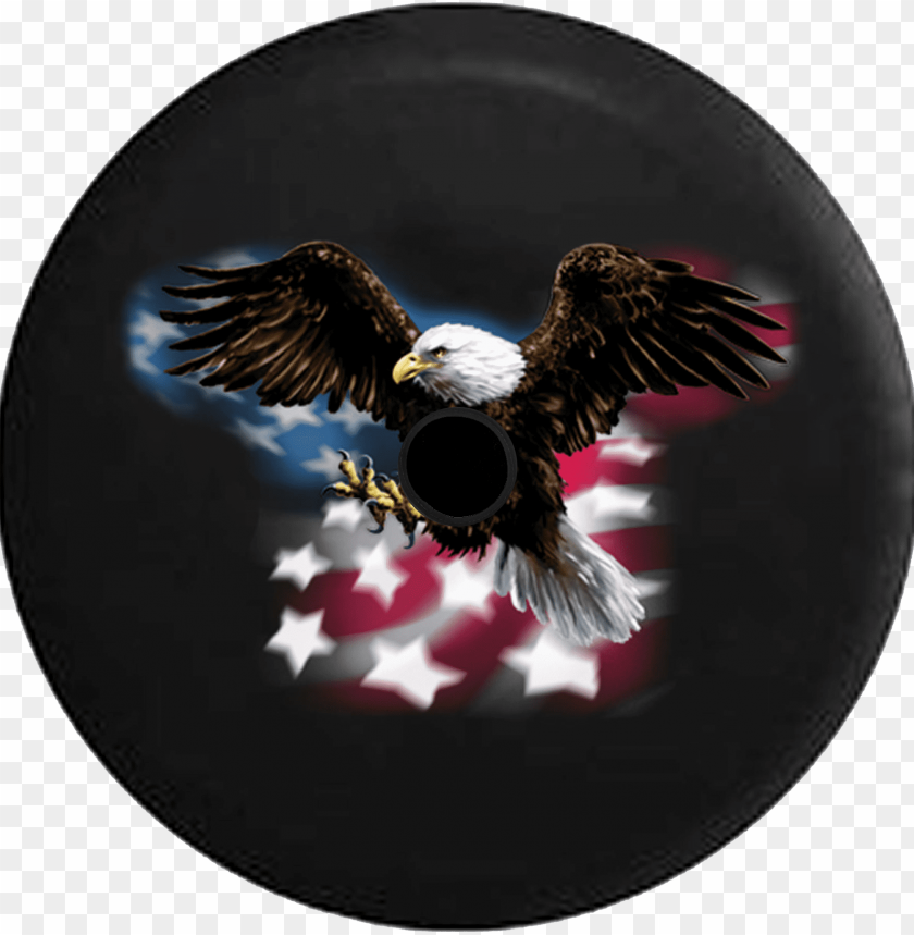 american flag eagle, bald eagle, american eagle, bald eagle head, grunge american flag, american flag clip art
