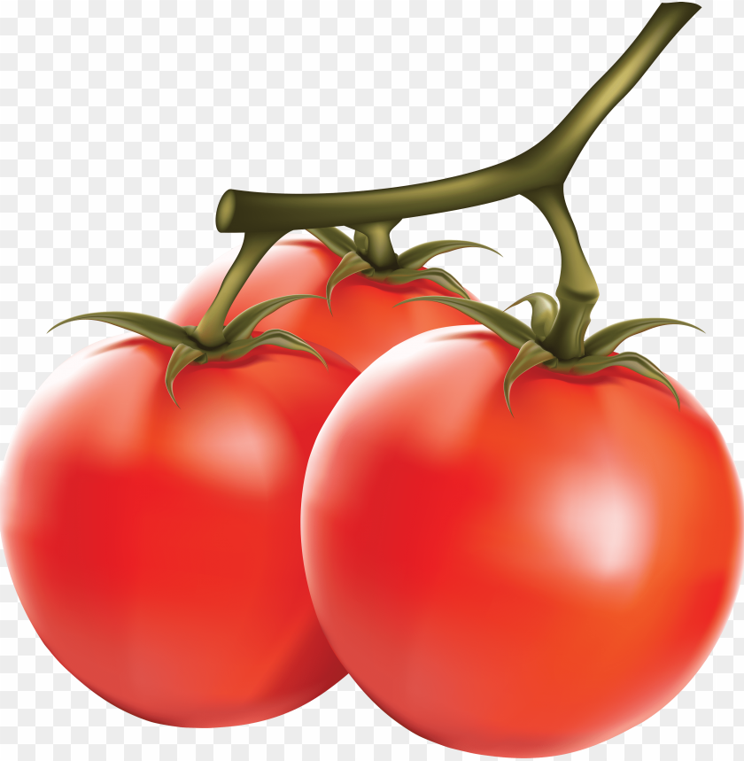 
tomato
, 
tomato's
, 
salad fruit
, 
red fruit
