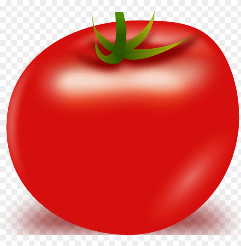 tomato plant, tomato, tomato slice