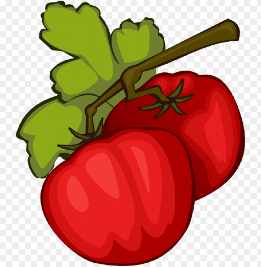 tomato plant, tomato, tomato slice, potted plant, house plant, vine plant