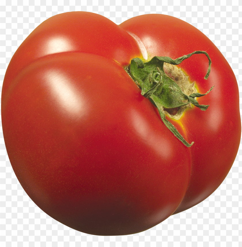 tomato plant, tomato, tomato slice, download button, download on the app store, stock photo