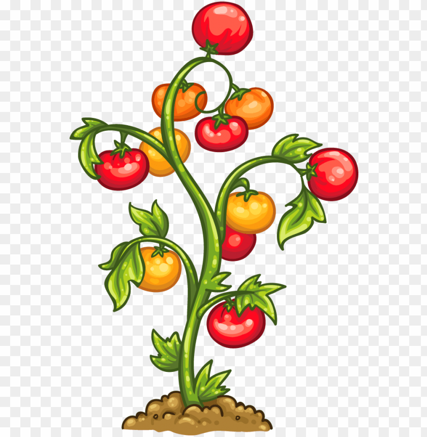 food, tomato, symbol, fresh, tree, eat, fleur de lis
