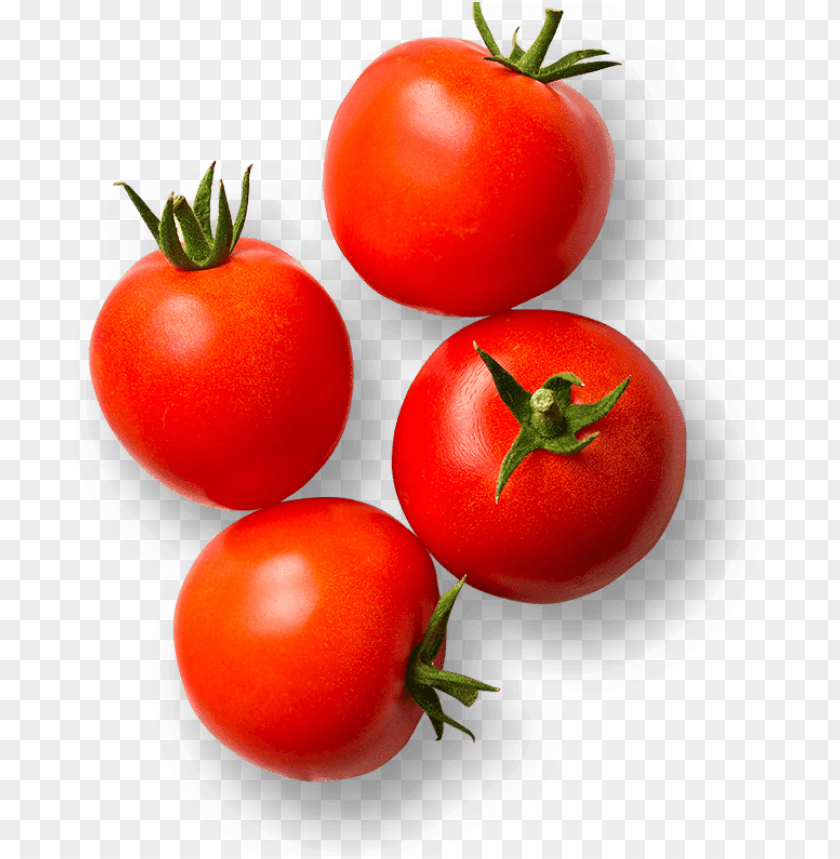 tomato png, png,tomato