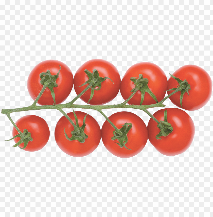 
tomatoes
, 
vegetable
, 
red
, 
fresh
, 
tasty
, 
eating
, 
food
