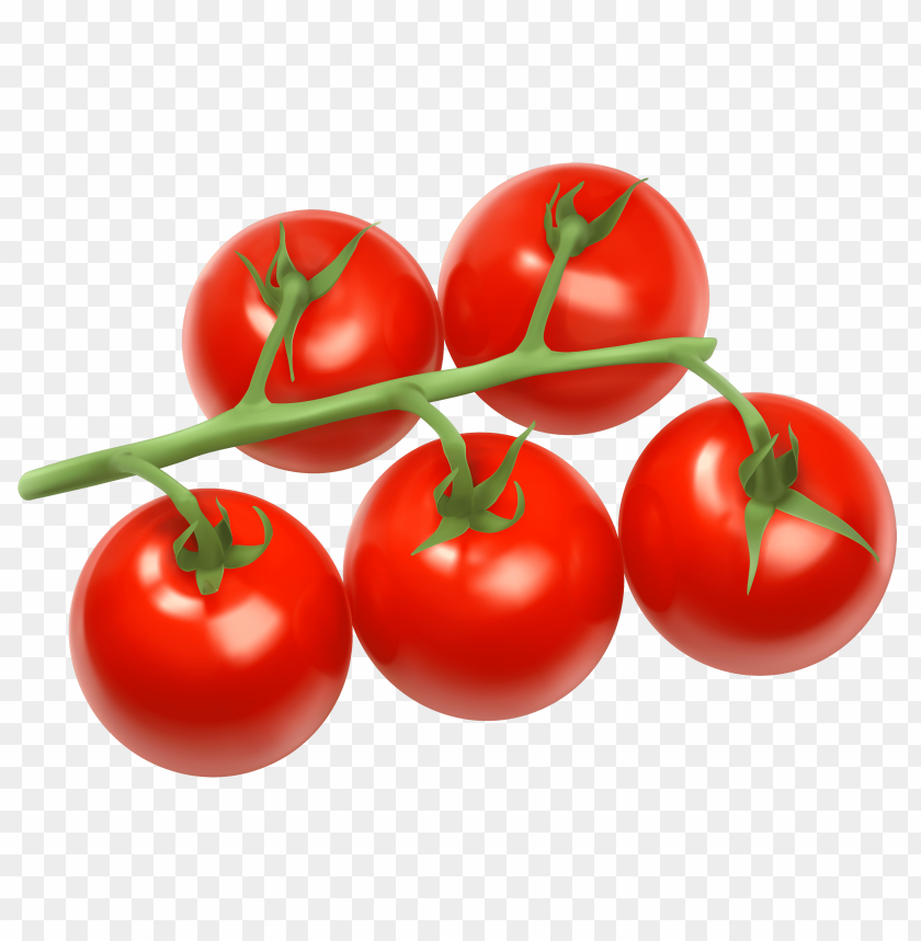 branch, tomatoes