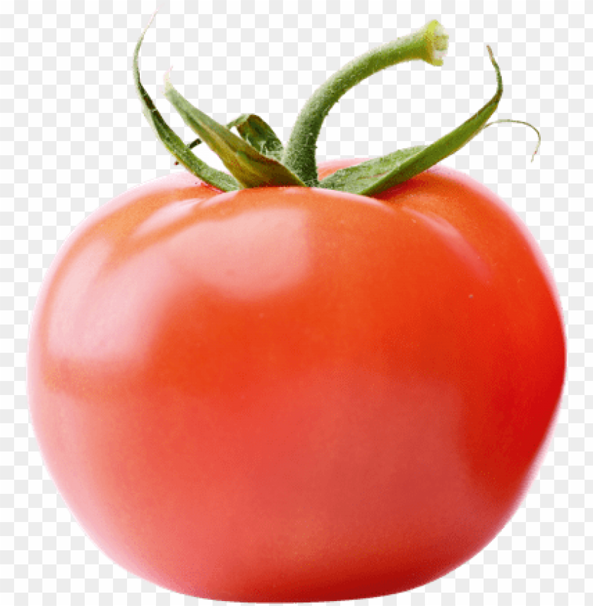 tomato, tomato sauce, food, tomato plant, vegetable, carrot, celery