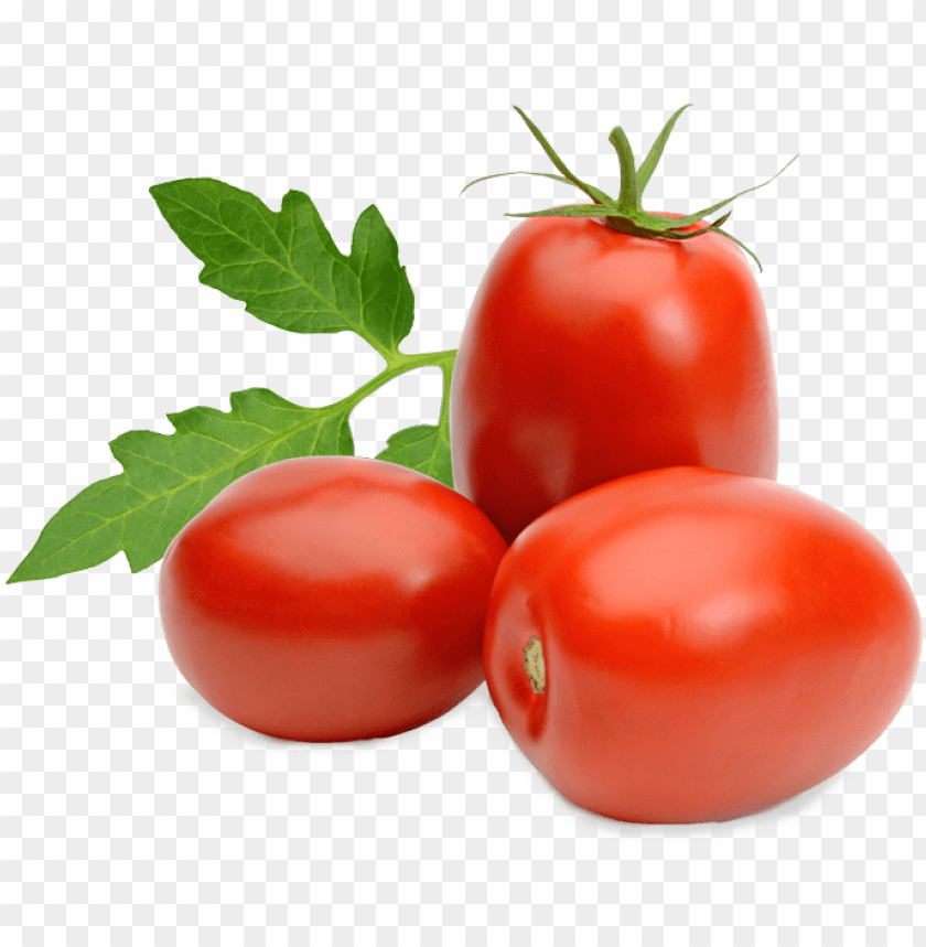 tomato, rome, tomato sauce, italy, food, ancient, tomato plant