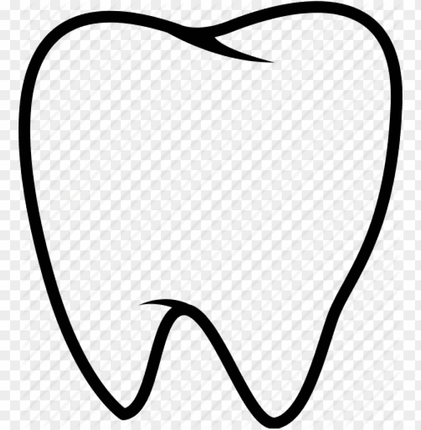 tooth png, png,tooth