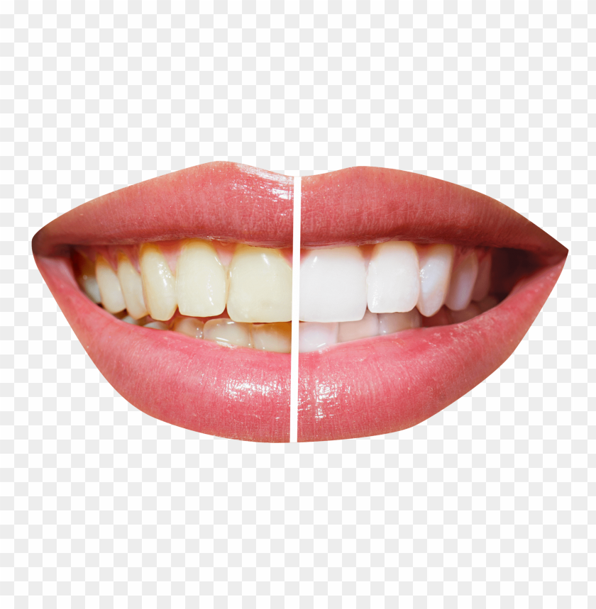 tooth png, tooth,png