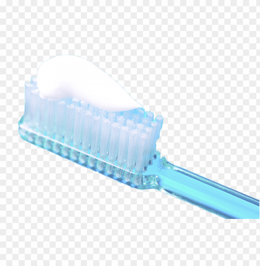 miscellaneous, toothpaste, toothpaste on brush, 