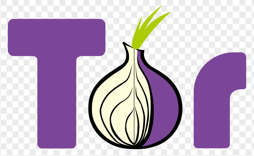 Tor Browser Onion Logo PNG Transparent Background