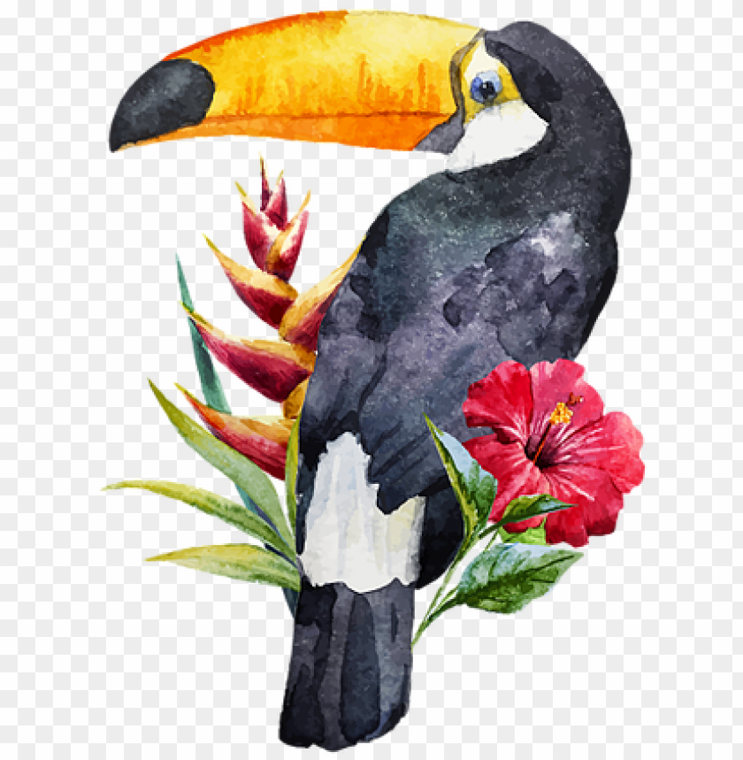 bird, watercolor flower, nature, water color, animal, watercolor flowers, tropical
