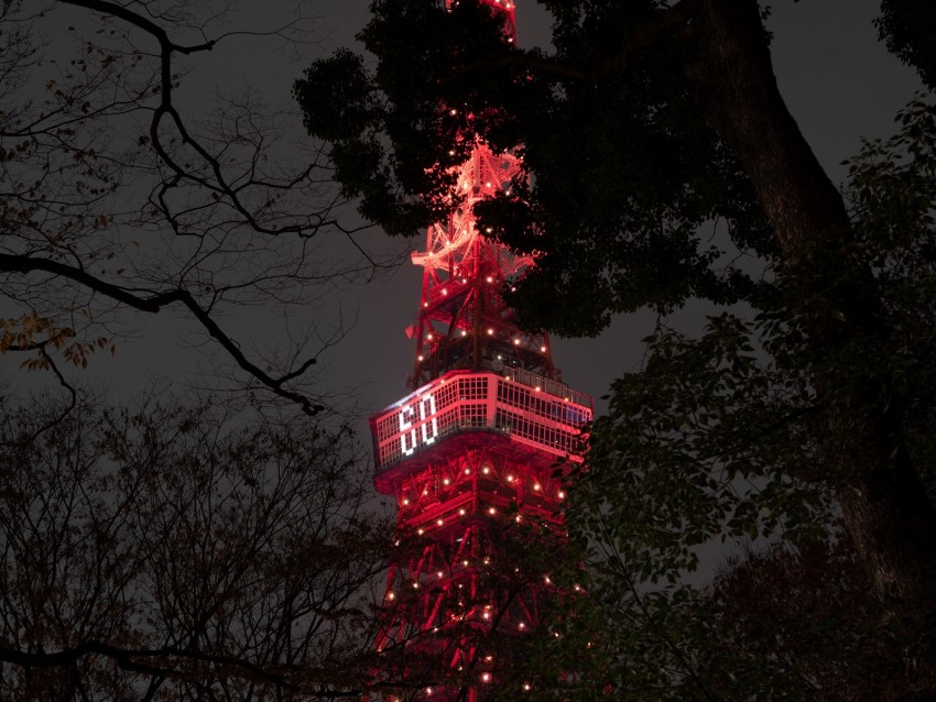 tower, backlight, night, branches, tokyo, japan