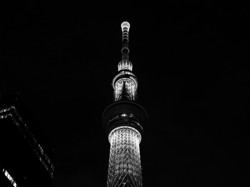tower, night city, bw, architecture, building