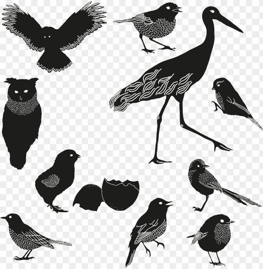 birds flying, all might, angry birds, flock of birds, all seeing eye, people silhouettes