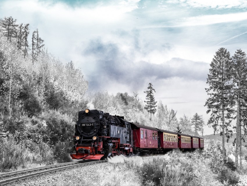 train, forest, winter, railway, snow