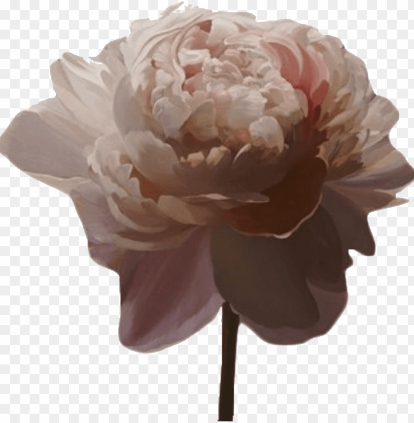 Transparent Aesthetic Source Aesthetic Pink Flower Png Image With Transparent Background Toppng - roblox wallpaper w cover photo source aesthetic pinterest facebook