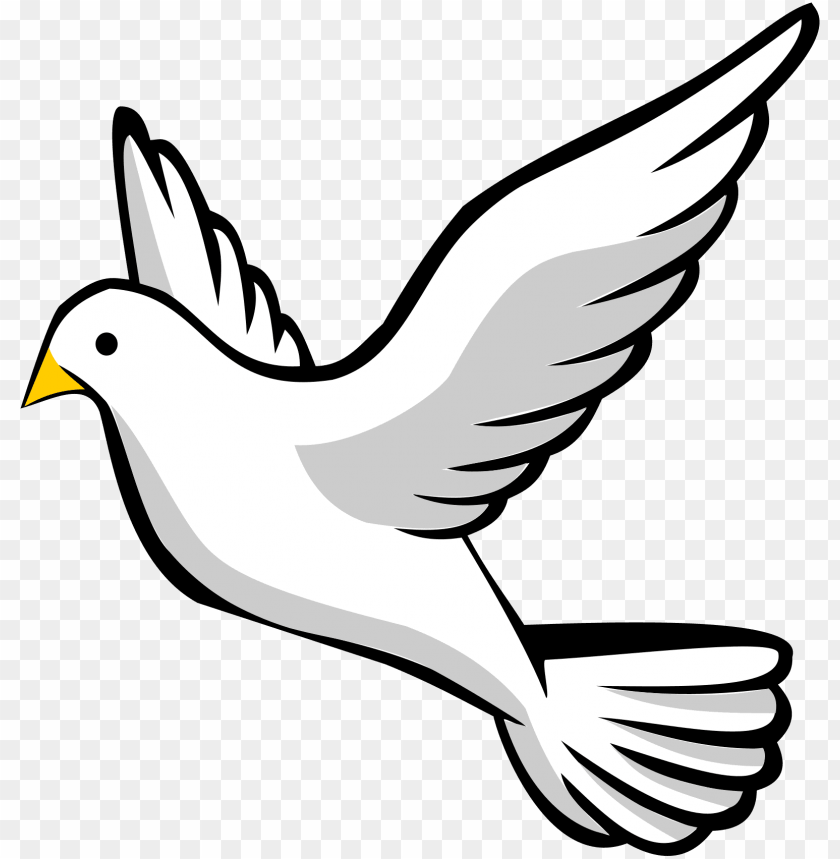 transparent background dove PNG image with transparent background | TOPpng